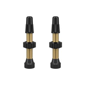 WTB Tubeless szingó szelep garnitúra [34 mm]