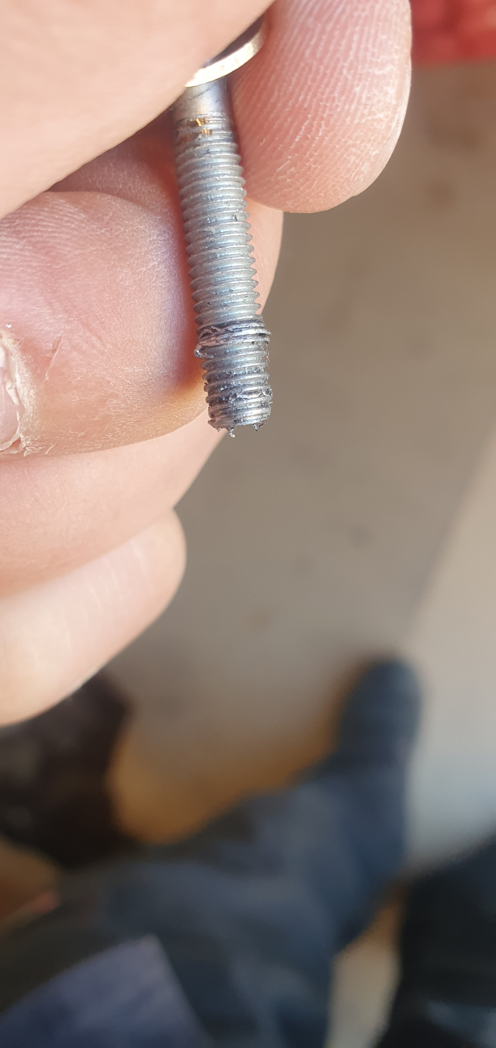   Corelli Glowie 28 könnyűvázas női trekking kerékpár 51 cm Menta
